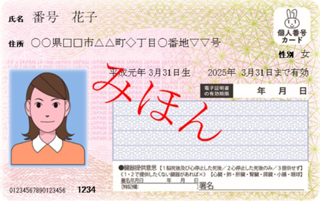 ���ܓ�C�g���t�n�k���N��������H�\�z�ł��鐭�{�⃁�f�B�A�̑Ή�