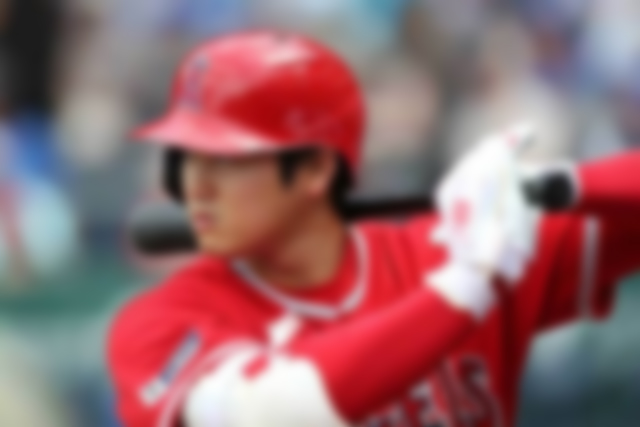 ���ܓ�C�g���t�n�k���N��������H�\�z�ł��鐭�{�⃁�f�B�A�̑Ή�