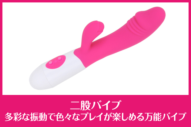 ��҃o�C�u�I���ʂȋ@�\�ƐU���ŐF�X�ȃv���C���y���߂閜�\�I��