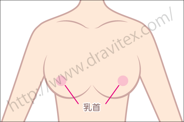 �o�C�u���[�^�[�̎�ނƑI�ѕ��I�h���Ǝg�����őI�ԃo�C�u�̎�ނƂ́H