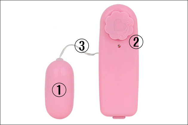 ���[�^�[�̋@�\�Ǝg�����I�����Ŏg������̂�����l�̂�������