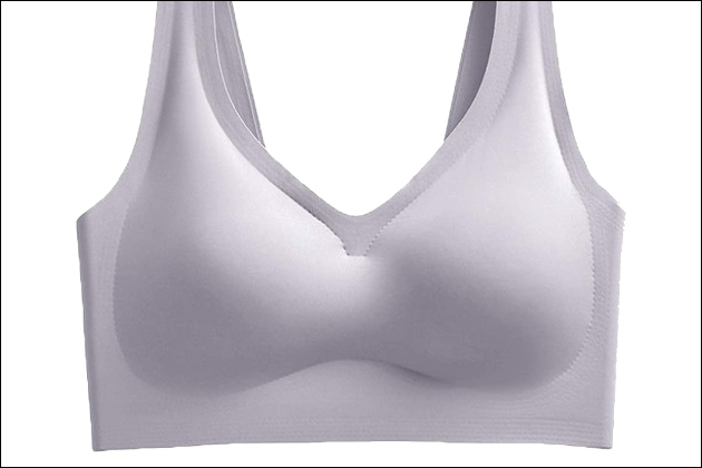 ��w�̌�����̓u���������H�Ǝ��E�玙�Ō�������Ȃ��u���W���[�Ƃ́H