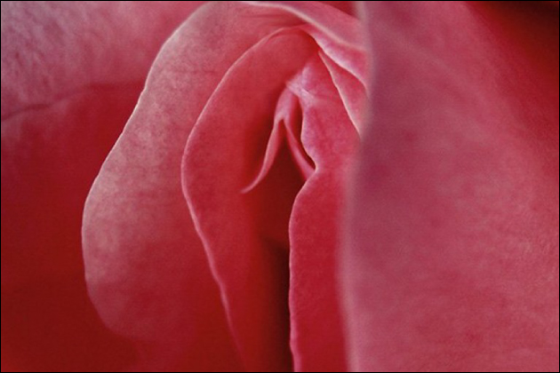 �����r����̃Z�b�N�X�͒ɂ��Ȃ��̂��H2��ڈȍ~�̒ɂ݂�o���ɂ���