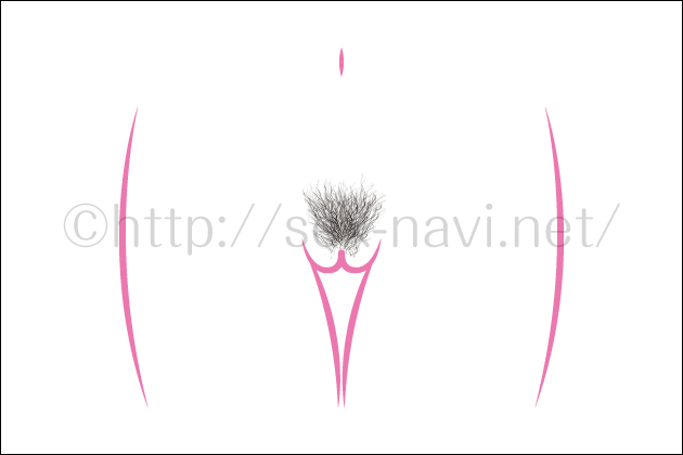 �R��ʂ̂����I�R��ʂ̑}�����@�E���̐U����E�R�c�E�|�C���g