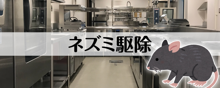 飲食店のネズミ駆除｜業者の選び方・料金・見積もりは？